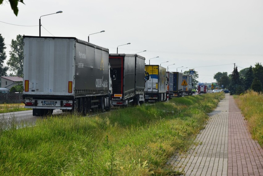 Czołowe zderzenie na dawnej ósemce w podwieluńskiej Dąbrowie. Jedna osoba trafiła do szpitala ZDJĘCIA