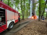 Pożar ciągnika z przyczepę w lesie koło Kłodawy