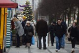 Magia Gwiazdkowej Alei w Częstochowie! Zobaczcie nasze zdjęcia i poznajcie niezliczone atrakcje