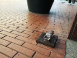 Katowice: Wandale zniszczyli figurki na Szlaku Ślonski Godki [ZDJĘCIA]