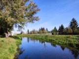 Jesień nad Obrą. Jest pięknie. Zobaczcie [Foto]