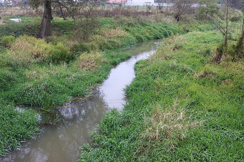 W Kaliszu trwa odmulanie Swędrni. Rzeka ma być bezpieczniejsza. ZDJĘCIA