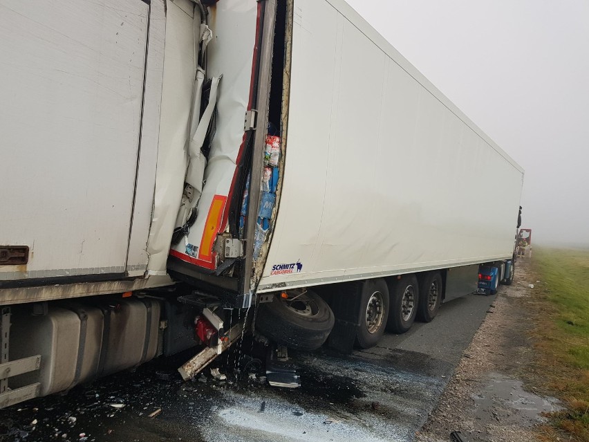 Zderzenie ciężarówek na autostradzie A1 pod Włocławkiem. Kierowca był zakleszczony [zdjęcia]