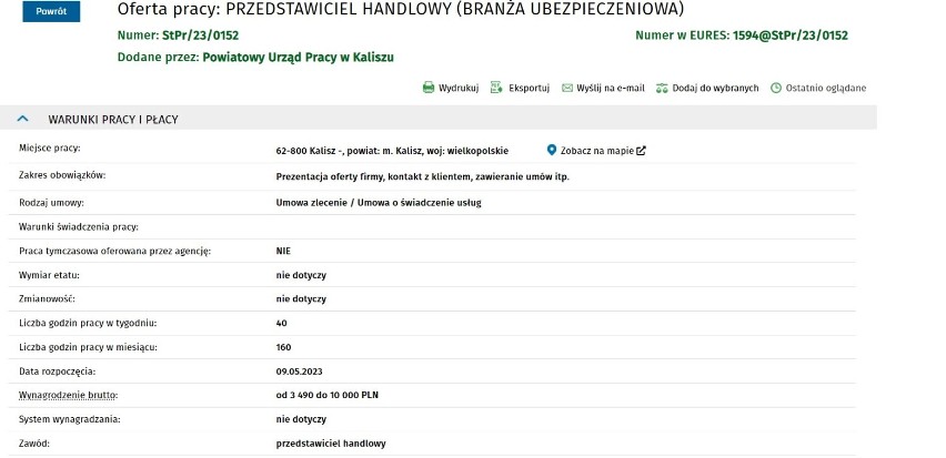 Najnowsze oferty pracy w Kaliszu. Sprawdź, kto może liczyć na zatrudnienie