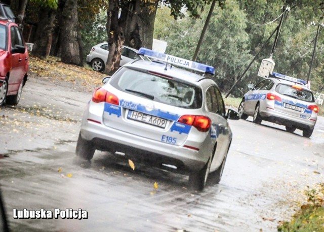 W czwartek po południu (2 września) dyżurny gorzowskiej jednostki otrzymał informacja o zaginięciu 9-latki. Dziewczynka nie wróciła ze szkoły, mimo tego, że miała iść od razu do domu. Jej zaniepokojona matka zgłosiła się o pomoc do policjantów. 

- Trzeba było szybko podejmować decyzje, bo zbliżał się wieczór, co zdecydowanie utrudnia poszukiwania. Dla policjantów został ogłoszony alarm. Do pracy przyjechali funkcjonariusze, którzy zostawili swoje domowe obowiązki, by szukać dziewczynki - informuje rzecznik gorzowskich policjantów, podkom. Grzegorz Jaroszewicz.

Przeczytaj też:
Najwięcej zakażeń w Gorzowie. Aktualny wskaźnik zakażeń COVID-19 w regionie

W poszukiwaniach brało udział niemal 150 policjantów z kilku pionów. Funkcjonariusze błyskawicznie podzielili między sobą zadania, by w jak najkrótszym czasie znaleźć zaginioną. Informacja o poszukiwaniach trafiła również do kierowców taksówek kilku korporacji. Policjanci sprawdzali różne części miasta. Kontrolowane były parki, okolice sklepów, place zabaw. Nie było jednak potwierdzonych informacji, by ktokolwiek dziewczynkę widział. 

- Doświadczenie policjantów z wcześniejszych zaginięć dzieci podpowiadało im, gdzie należy szukać. Po godzinie 20 do wszystkich służb biorących udział w poszukiwaniach dotarła dobra informacja. Policjanci wydziału kryminalnego zauważyli dziewczynkę przy gorzowskiej filharmonii. 9-latce nic się nie stało, była cała i zdrowa. Funkcjonariusze przekazali ją pod opiekę matki- dodaje podkom. Jaroszewicz.

Polecamy:
Nowy sklep w Gorzowie. Wielkie otwarcie już niebawem!