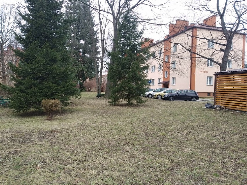 Zaniedbany zieleniec przy ul. Piastowskiej w Krośnie stanie się parkiem kieszonkowym [ZDJĘCIA]