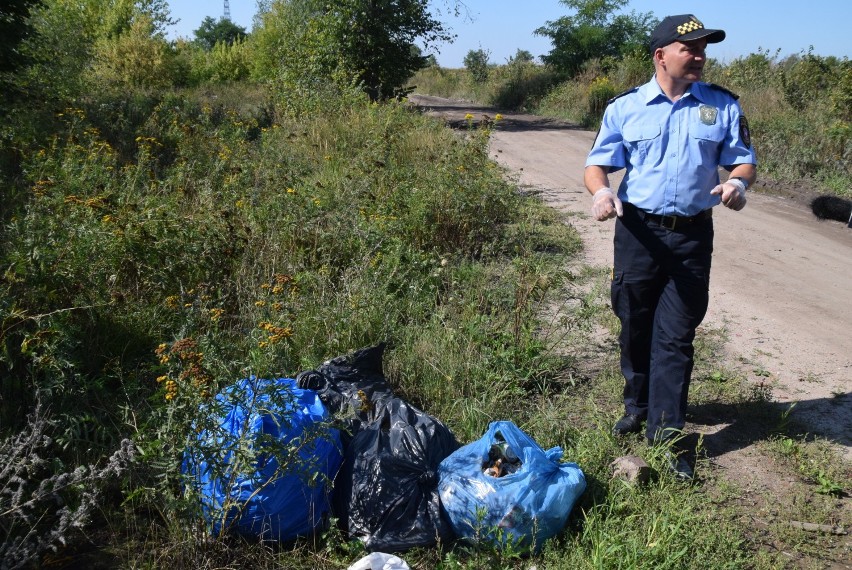 Dzikie wysypiska nadal są problemem na terenie miasta