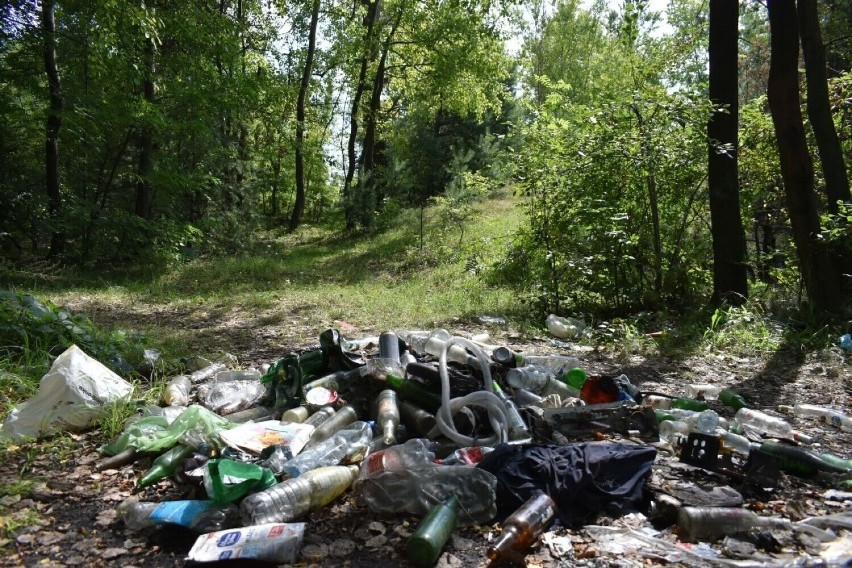 Śmieci w lesie przy ulicy Żuradzkiej w Olkuszu