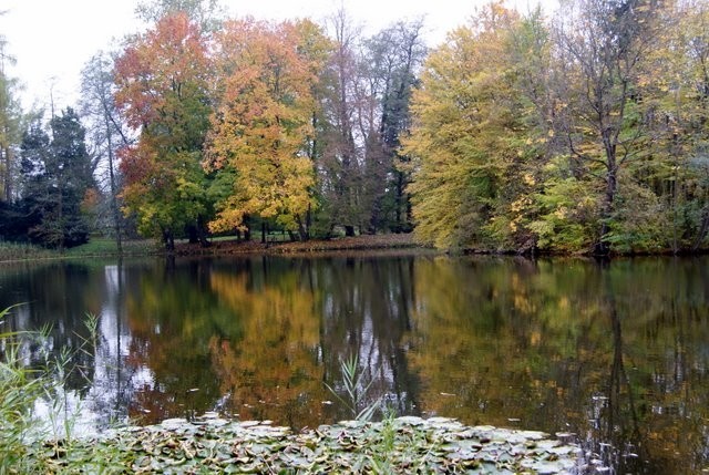 Piękna jesień w Krasiczynie. Zobacz zdjęcia internauty