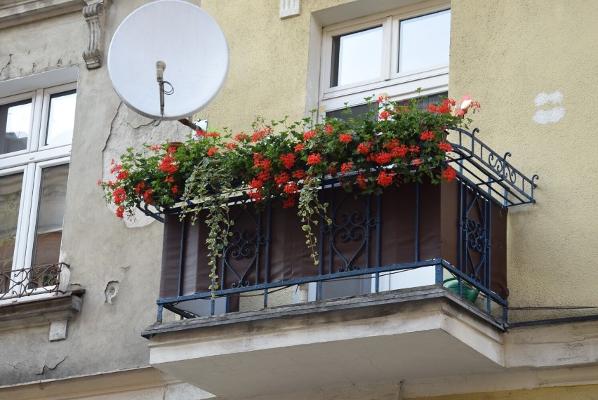 Wystartuj w konkursie na najpiękniejszy balkon. A takich w...