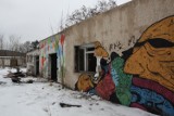 Przy ul. Podhalańskiej w Oliwie. Walące się budynki nadleśnictwa odwiedzają złomiarze i bezdomni