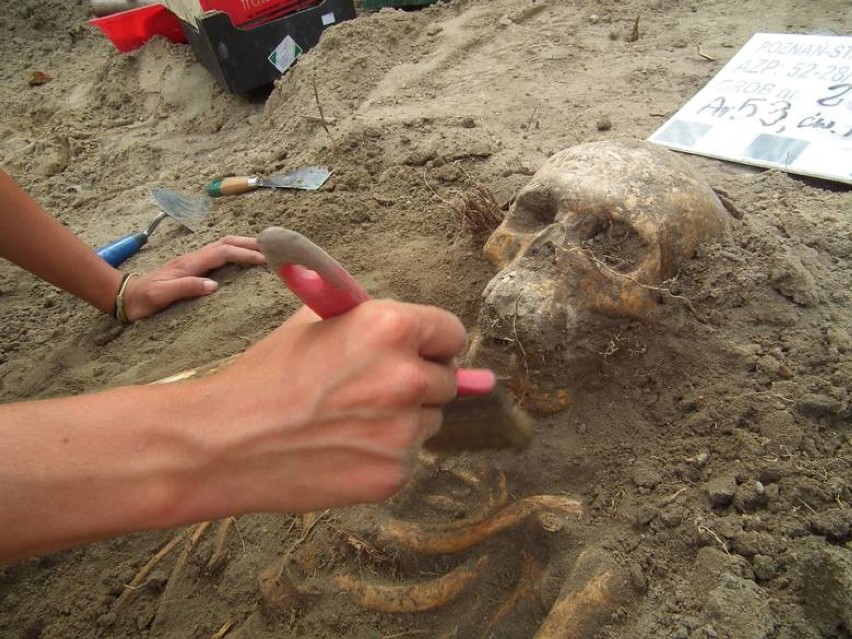 Grupa archeologów prowadziła prace wykopaliskowe na ulicy Za...