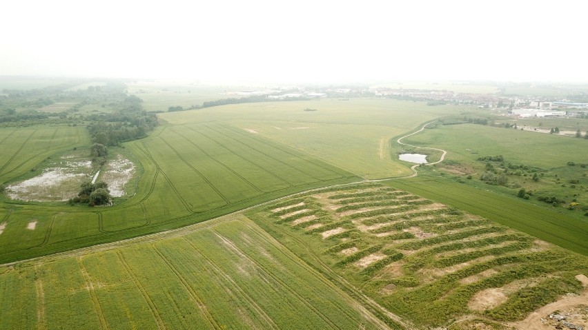 Co z budową obwodnicy Warzymic i Przecławia? Na razie badania archeologiczne