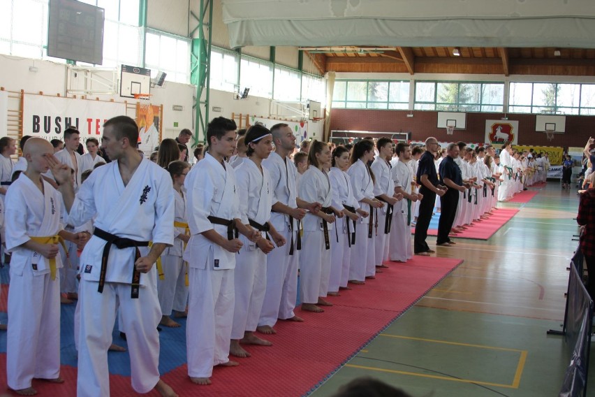 Cztery puchary krośnieńskich karateków na Mazovia Cup