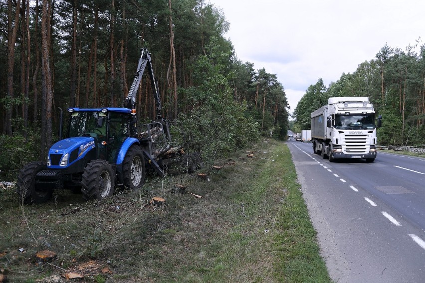 Nadleśnictwo Piotrków wycięło ok. 100 drzew przy drodze nr 716 Piotrków - Koluszki