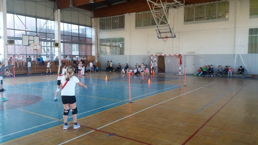 W szkole podstawowej numer 2 w Golubiu–Dobrzyniu rozegrano turniej w serwobiegu