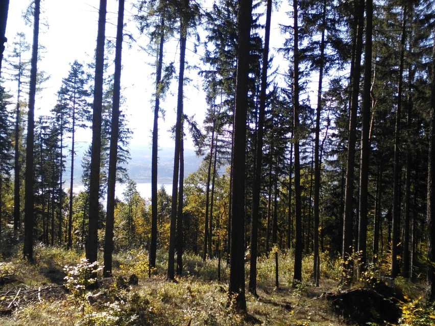 jesienny spacer jelenia góra