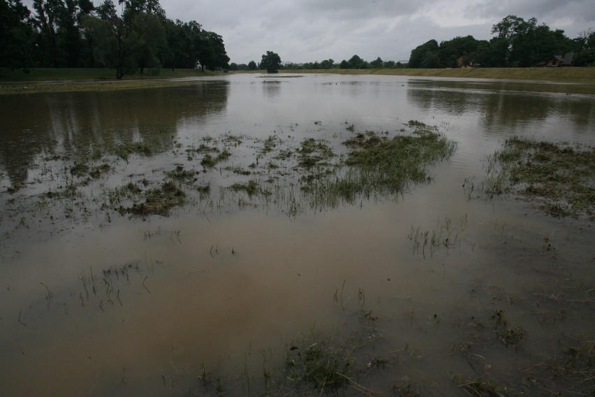 W czerwcu 2013 roku w Legnicy i okolicy padały ulewne deszcze, zobaczcie zdjęcia