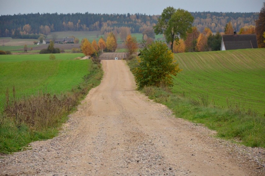 niądze na budowę dróg dojazdowych do pól trafią do 5 gmin powiatu pleszewskiego