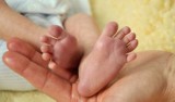 Pierwsze dziecko w województwie śląskim urodziło się w myszkowskim szpitalu. Ma na imię Klara