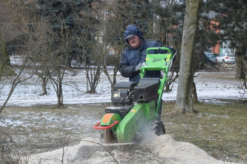 Rewitalizacja placu Wolności w Bełchatowie. Co się kryje za płotem na placu Wolności? [ZDJĘCIA]