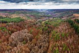 Kalendarz 2020 już w piątek razem z "Gońcem Rumskim". Zobaczcie zwycięskie fotografie!