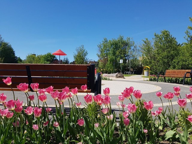 Plac Trzech Pokoleń, zrealizowany głównie z budżetu obywatelskiego