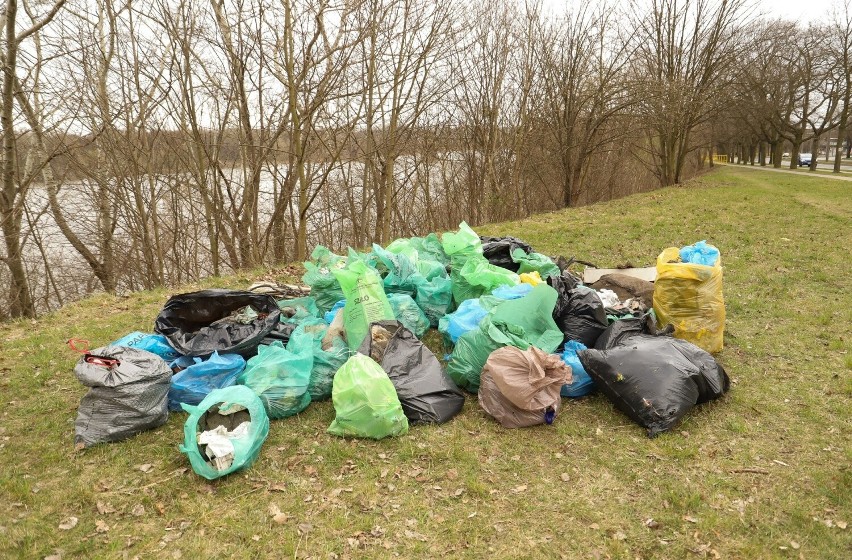 W Toruniu zorganizowano dziś (10.04) sprzątanie wokół...