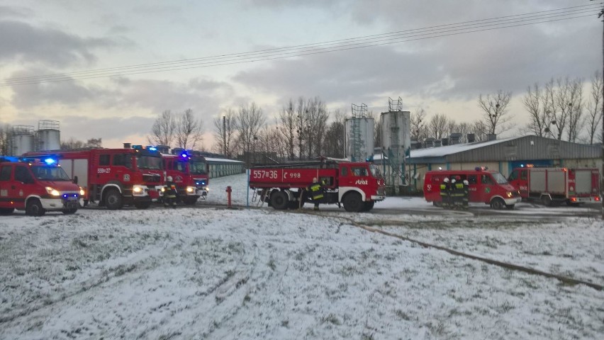 Pożar kurnika w Bożympolu Małym (gmina Łęczyce). Straty sięgają pół miliona złotych [ZDJĘCIA]