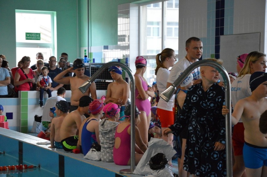 Święto pływania w Kartuzach: Festiwal radości z pływania