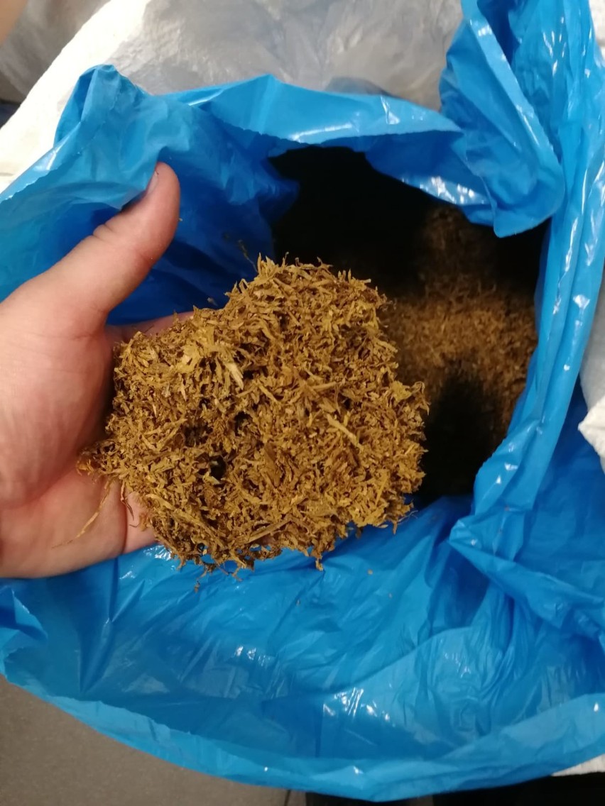 Policjanci z Chełmna zabezpieczyli 45 kg nielegalnego tytoniu [zdjęcia]