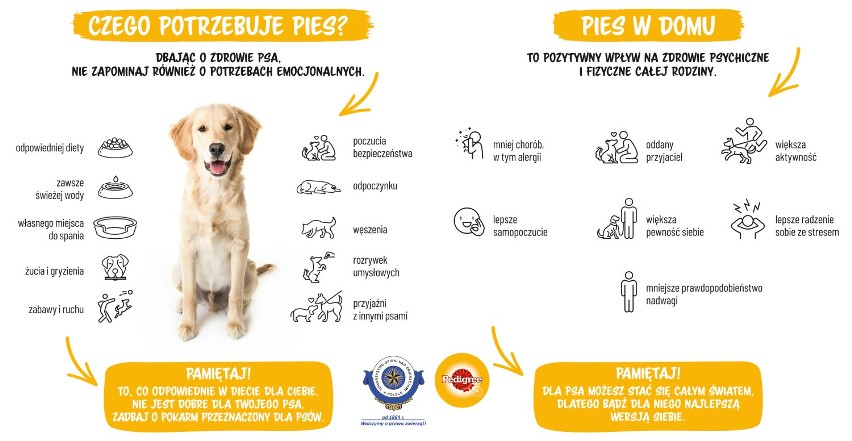 Konin: Pedigree rusza z ogólnopolską kampanią „Dla dobra psów” i wspiera schronisko w Koninie!