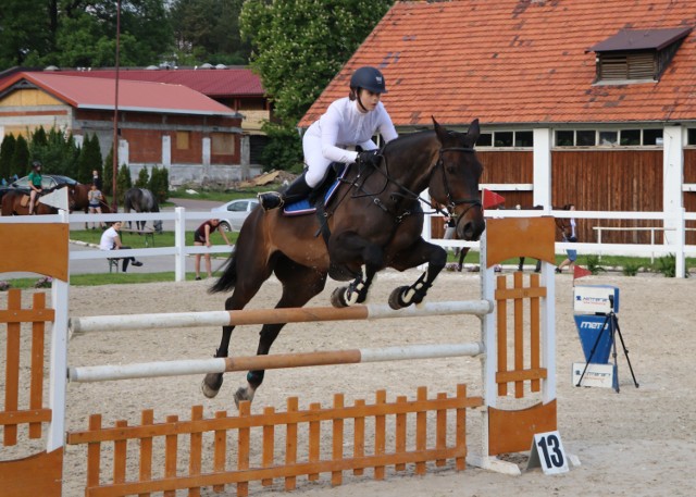 Zawody konne w Zbrosławicach (25.05.2019)