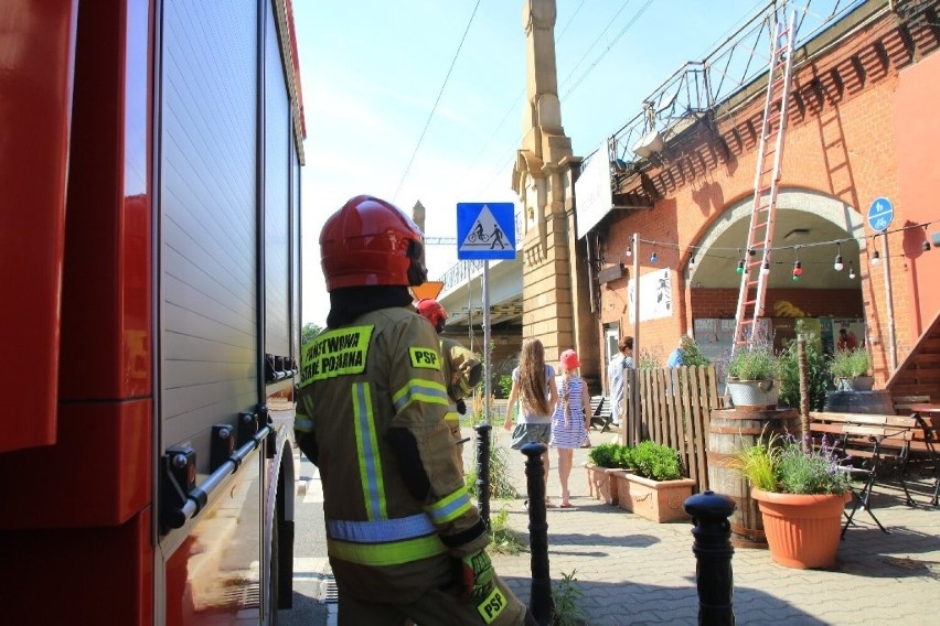 Pożar na wiadukcie kolejowym w centrum Wrocławia. Wstrzymano ruch pociągów przy Dworcu Głównym [ZDJĘCIA]