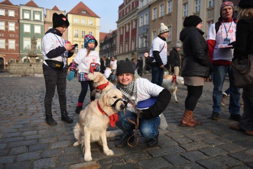 Gdzie padły rekordy? Kto ile zebrał i jak grała Wielka...