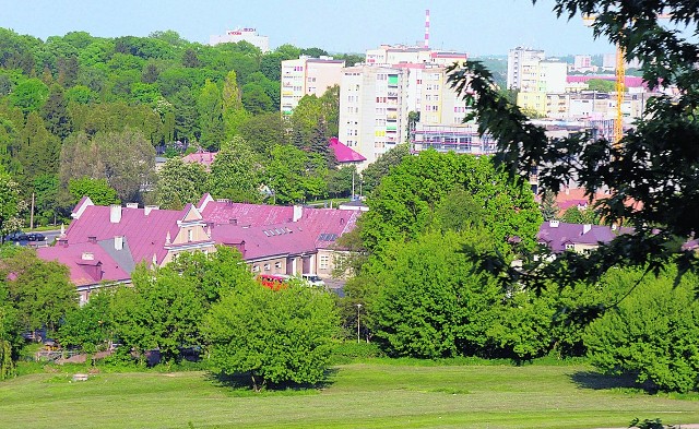 Na tym terenie powstaną budynki Innowacyjnego Centrum Patologii i Terapii Zwierząt