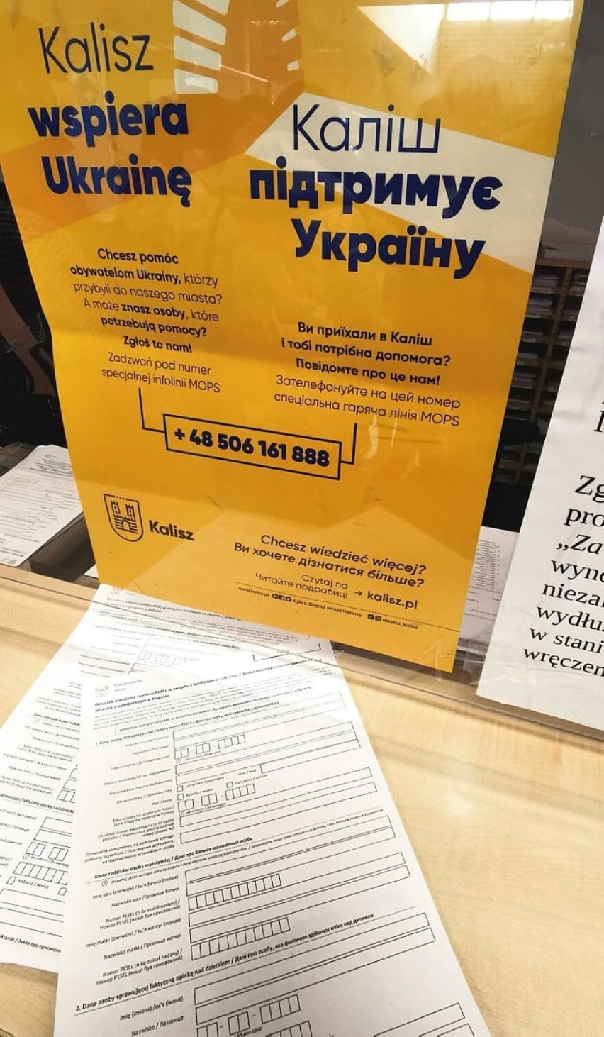W Urzędzie Miasta Kalisza spory ruch. Od dziś obywatele Ukraińcy mogą składać wnioski o numer PESEL. ZDJĘCIA