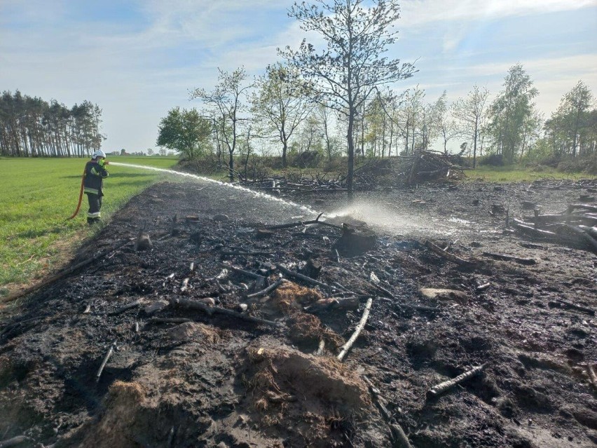Pożar lasu między Wapnem a Damasławkiem. Na miejsce wysłano pięć zastępów straży
