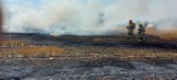 Pożar na polu we Władysławowie: spłonął ciągnik, prasa do słomy oraz część ścierniska | ZDJĘCIA, NADMORSKA KRONIKA POLICYJNA