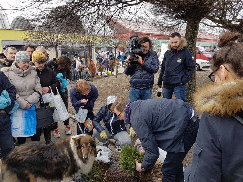 Rozdali łodzianom ponad tysiąc drzew [ZDJĘCIA]