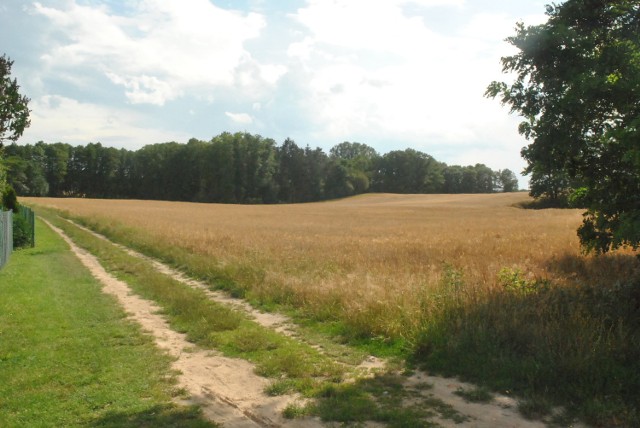 LESZNO. Jeziorki to idealne miejsce na rowerową wycieczkę, albo rodzinny spacer