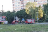 Kalisz: Strażacy usuwali wielką plamę oleju