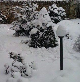 Najładniejszy śniegowy bałwan (GŁOSOWANIE)