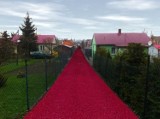 "Czerwony dywanik" na ul. Dzierżawnej 