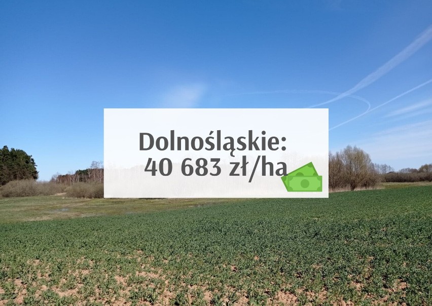 Województwo dolnośląskie - średnia cena hektara (klasy I-VI)...