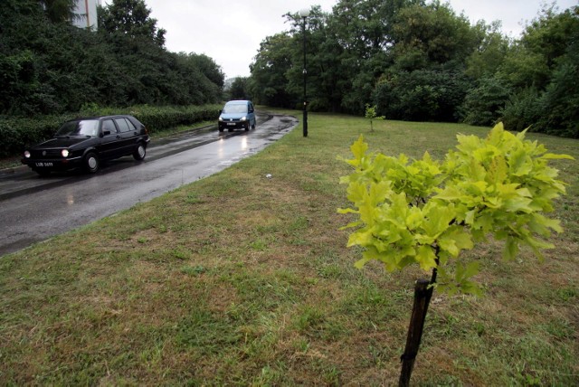 Na osiedlu Skarpa przybędzie 100 miejsc parkingowych