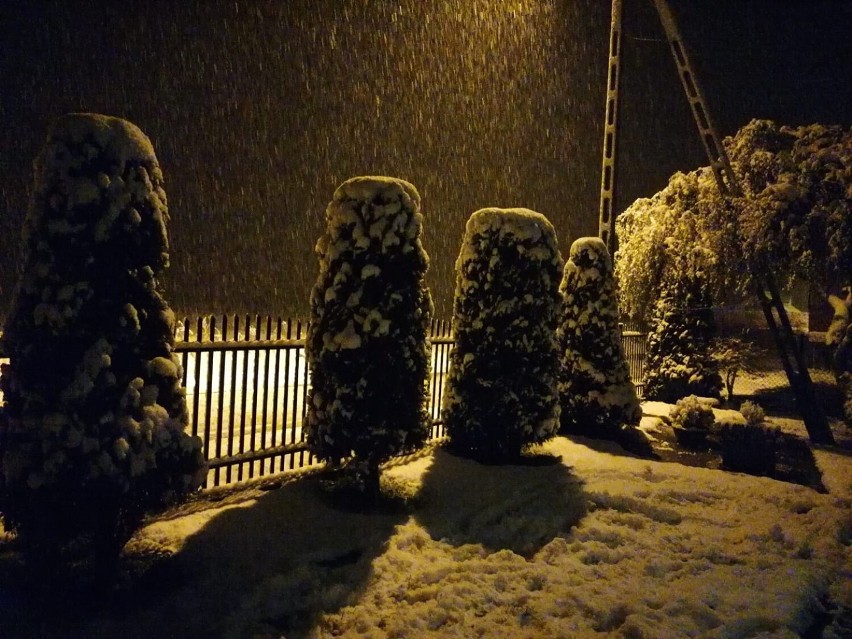 Pierwszy śnieg na Pomorzu w obiektywie naszych czytelników....