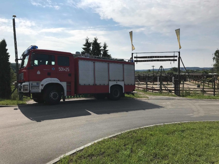 Pocisk znaleziono na ranczo w Dębogórzu Wybudowaniu