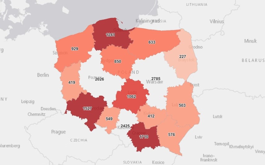 Koronawirus w Szczecinie i regionie. Ile nowych przypadków zakażeń? – 22.12.21