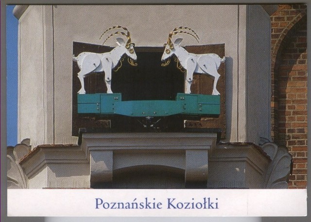 Takie koziołki zachęcają do odwiedzenia Starego Rynku?